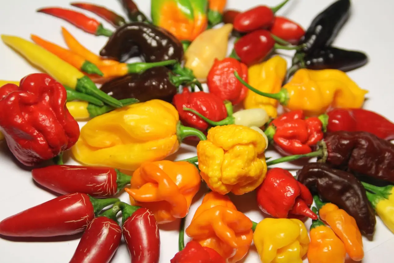 I 3 segreti per avere peperoncini piccantissimi e un raccolto abbondante